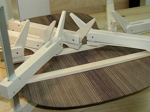 Back Bracing