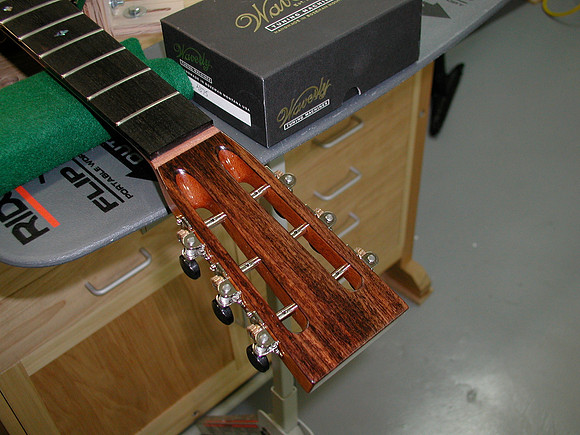 Nickel Tuners with Ebony Knobs